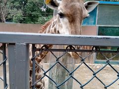 -荆州中山公园动物园