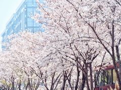 -新天地活力PARK