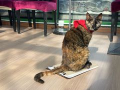 -EATALIA意塔利意式餐厅(鼓楼店)