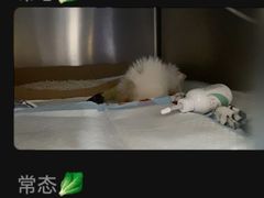 -恒幸动物医院·急重症转诊中心·神经内外科·CT核磁