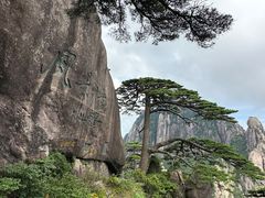 -黄山风景区