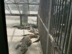 -秦皇岛野生动物园