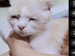 -藏猫猫咖啡主题馆(中央大道店)