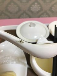 点击看大图 -诗安国际母婴会所(香坊区店)