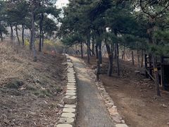 -北京西山国家森林公园