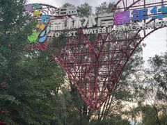 -长白岛森林公园