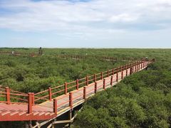 -北海金海湾红树林生态旅游区