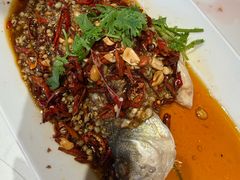 -杨氏青龙虾·羊蝎子(托乐嘉店)