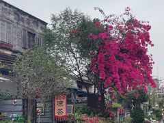 -三溪村