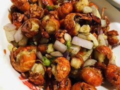 -大萝卜烧烤羊蝎子烤全羊(新城河路店)