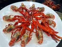-红盔甲·小龙虾(人民广场店)