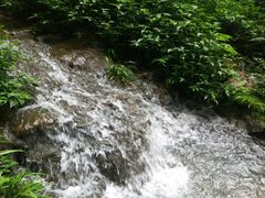 -车溪民俗旅游区