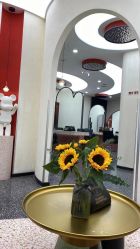 -IP SALON