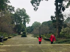 -南山植物园