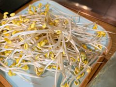 -麻田会 ·鲜活现烹·牛蛙火锅(珠江新城维家思广场店)