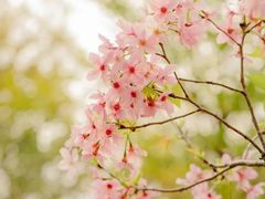 -文华公园(禅城区)