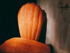 门面-壳里西餐厅Coquille Seafood Bistro(蒙自路店)