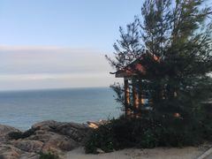 -广东惠东海龟国家级自然保护区
