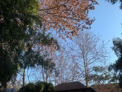 -春晖园度假酒店温泉