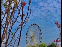 -观澜湖生态运动公社