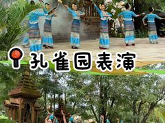 -西双版纳傣族园