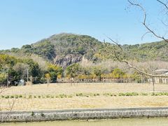 -上海佘山国家森林公园天马山园