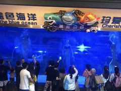 -成都浩海立方海洋公园