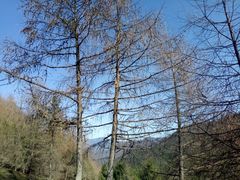 -硗碛藏寨·神木垒景区