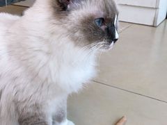 -美迦爱-牙专科·兔科·骨科诊疗中心(北苑店)