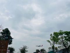 -空港花田景区