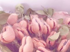 -WHEN PIGS FLY当猪飞