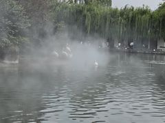 -成都动物园
