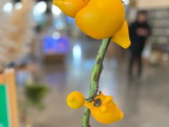 -dotcom coffee古点咖啡(致真大厦店)