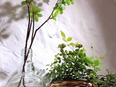 -鹿港小镇经典老上海菜(长乐路店)
