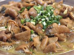 -木子山庄·安徽省老字号·中国炖锅宴