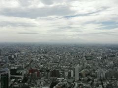 -东京都厅舍