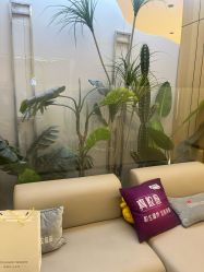 -沈阳名流美容医院