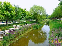 -东郊湿地公园
