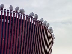 -南宫五洲植物乐园