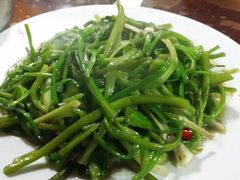 炒海菜-苍洱春饭店