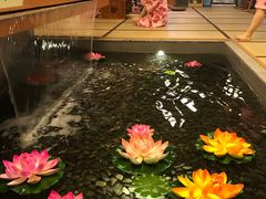 -汤泉良子(金源店)