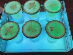 -海雾里小酒馆(观音桥店)