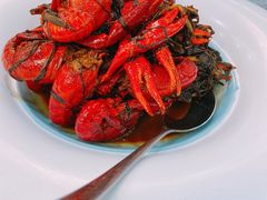 -外滩1288花园丽舍