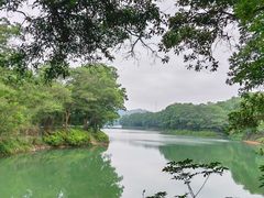 -红花湖景区