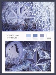 -DC大蔡婚礼策划(李公堤店)