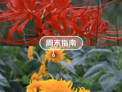 -湖南省植物园
