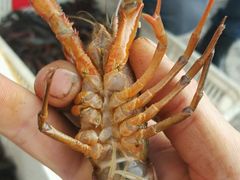 龙虾-王红军龙虾(新民路店)