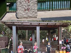 -金盆阿嬷香菇茶叶蛋(玄光店)