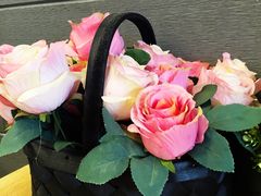 -愉肴麻辣香锅(中山路店)