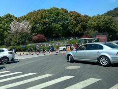 -树山生态村